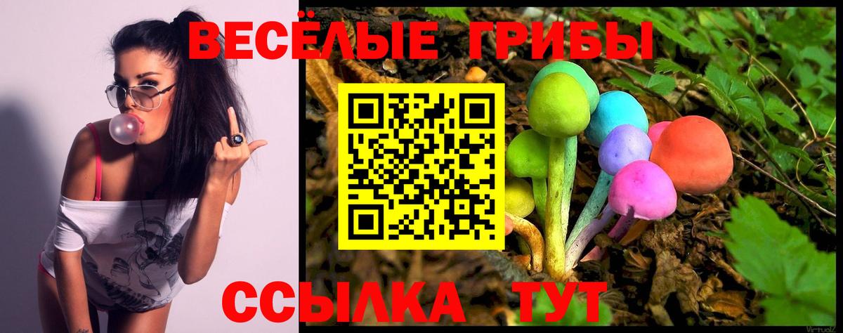Каннабис  Вход с VPN  Меф МЯУ МЯУ кристаллы  ТГК  A-PVP СОЛЬ   Камень-на-Оби  ГАШИШ  Cocaine  МЕТАМФЕТАМИН 