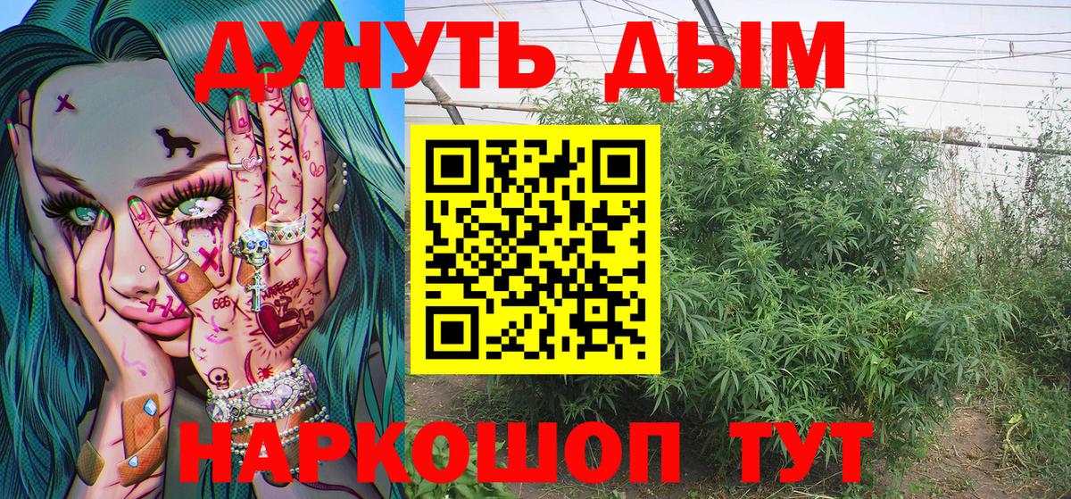 Каннабис Amnesia  Бошки марихуана AK-47  Вход с VPN  Конопля гибрид  Канабис сатива  Камень-на-Оби 