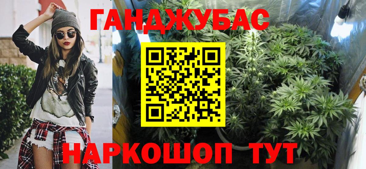 Конопля сатива Камень-на-Оби